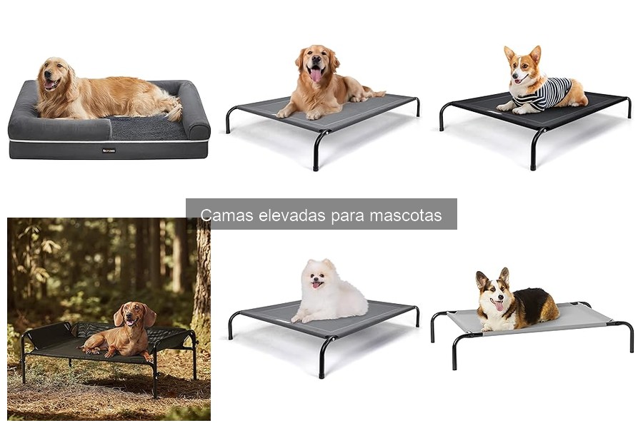 Mejores camas elevadas para perros grandes | Comparativa 2023