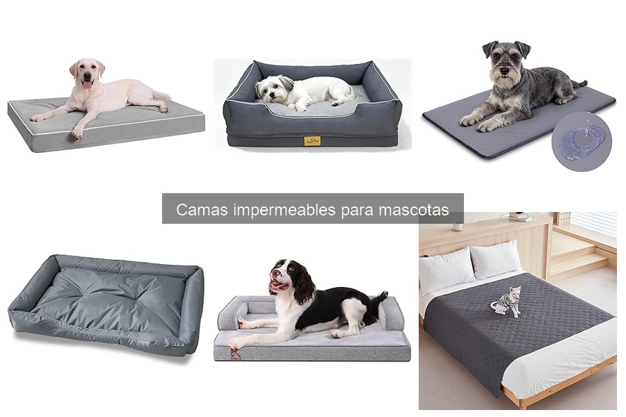 Mejores camas impermeables para perros pequeños en 2023