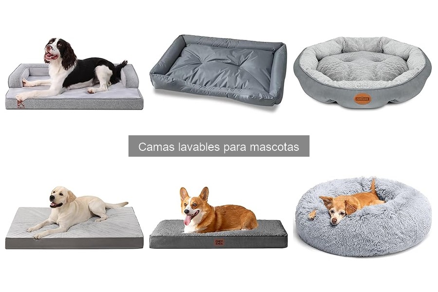 Mejores camas lavables para perros pequeños: comparativa 2023