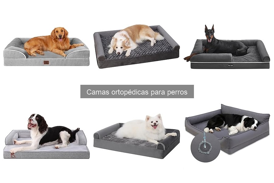 Mejores camas ortopédicas para perros con artritis en 2023