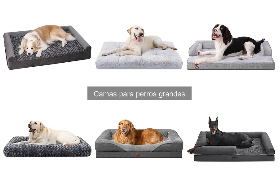 Mejores camas para perros grandes: opiniones de usuarios