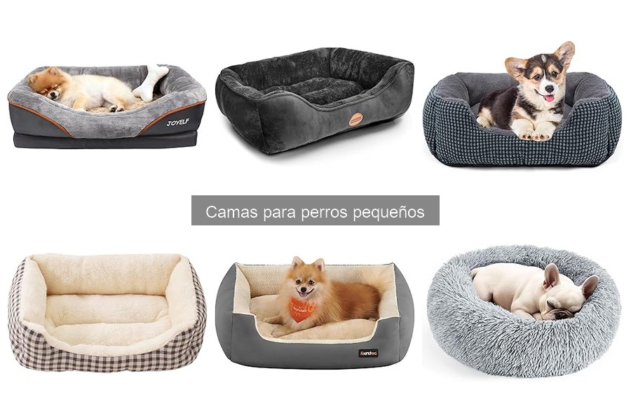 Mejores camas para perros pequeños: comparativa 2023