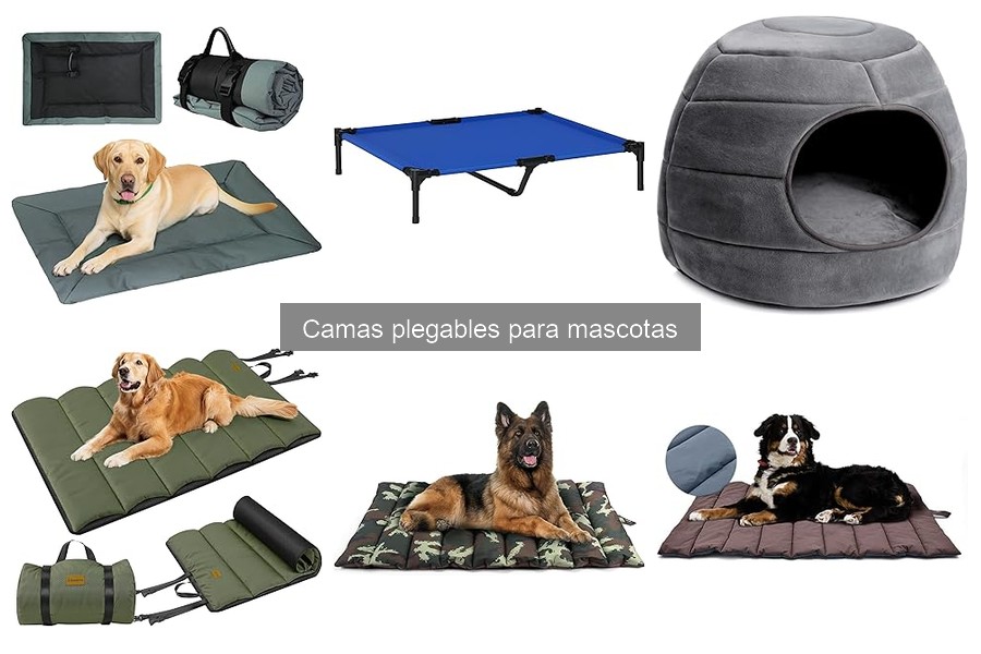 Mejores camas plegables para perros pequeños en 2023