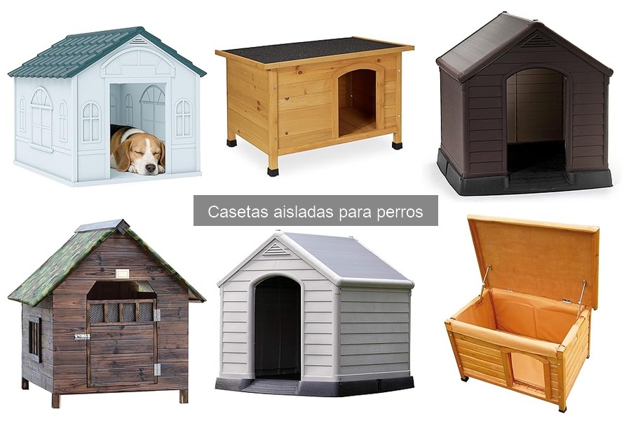 Mejores casetas aisladas para perros grandes en 2023