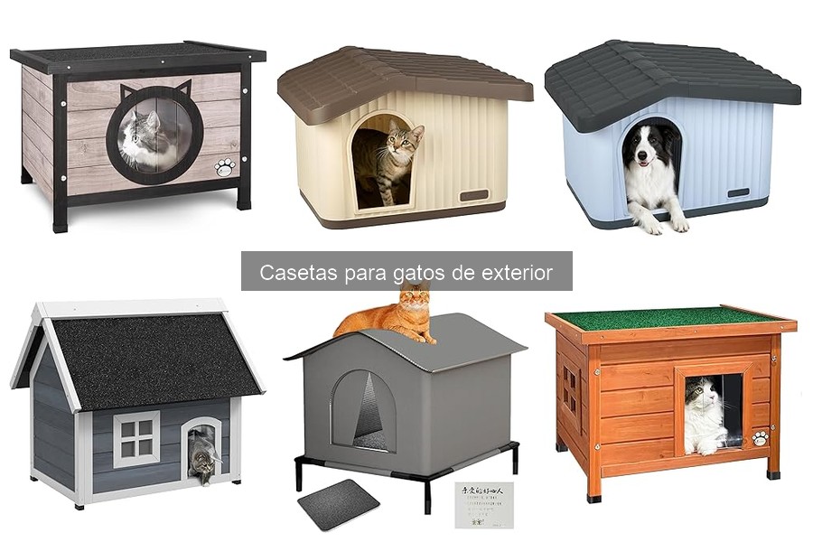 Mejores casetas para gatos de exterior en 2023