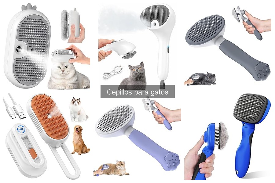 Mejores cepillos para gatos de pelo largo: guía de selección