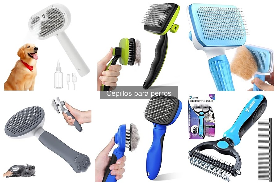 Mejores cepillos para perros de pelo largo en 2023