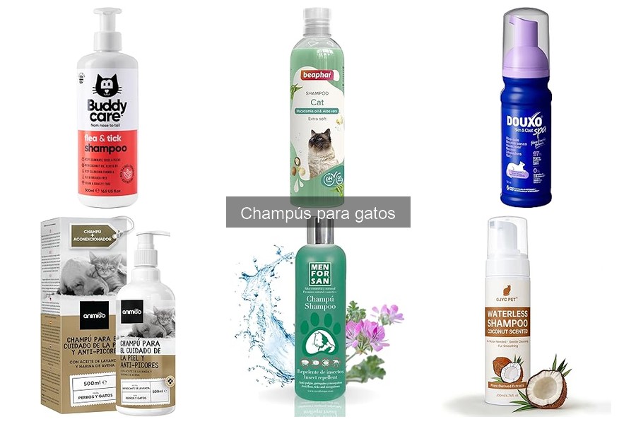 Mejores champús para gatos de pelo largo en 2023