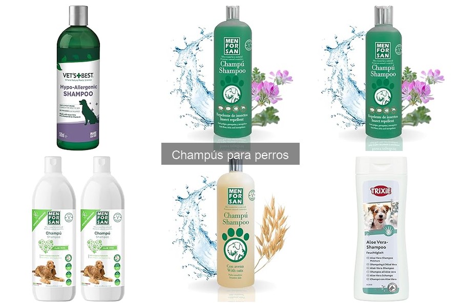Mejores champús para perros con piel sensible en 2023