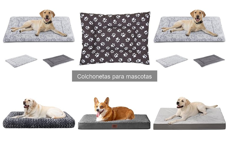 Mejores colchonetas para perros mayores: comodidad y soporte