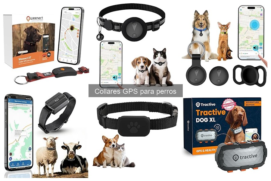 Mejores collares GPS para perros que suelen escapar