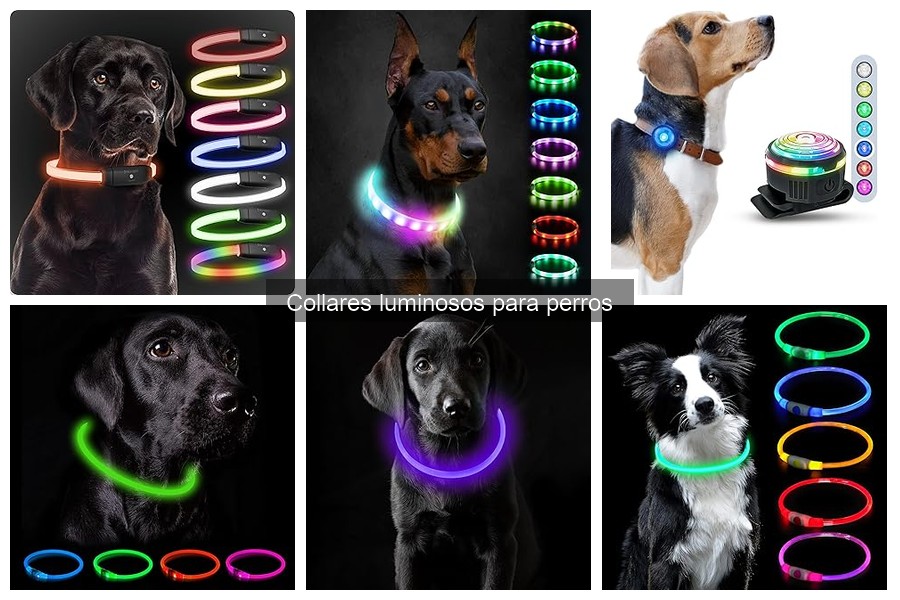 Mejores collares luminosos para perros en 2023
