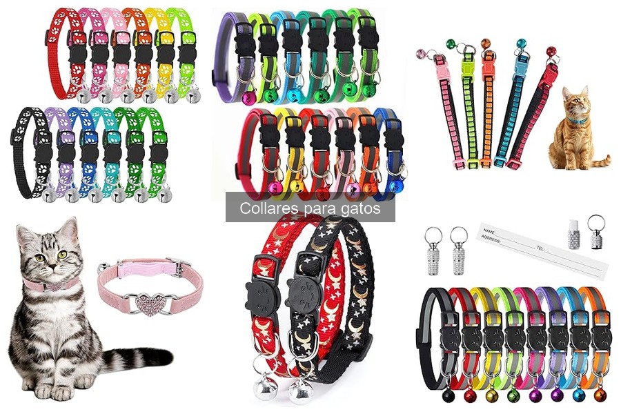 Mejores collares para gatos en verano: comodidad y frescura