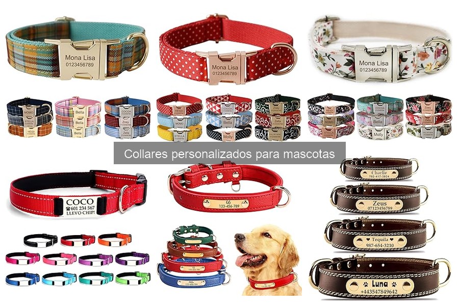 Mejores collares personalizados para perros pequeños 2023