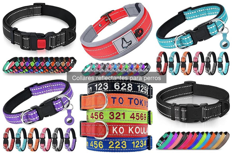 Mejores collares reflectantes para paseos nocturnos con perros