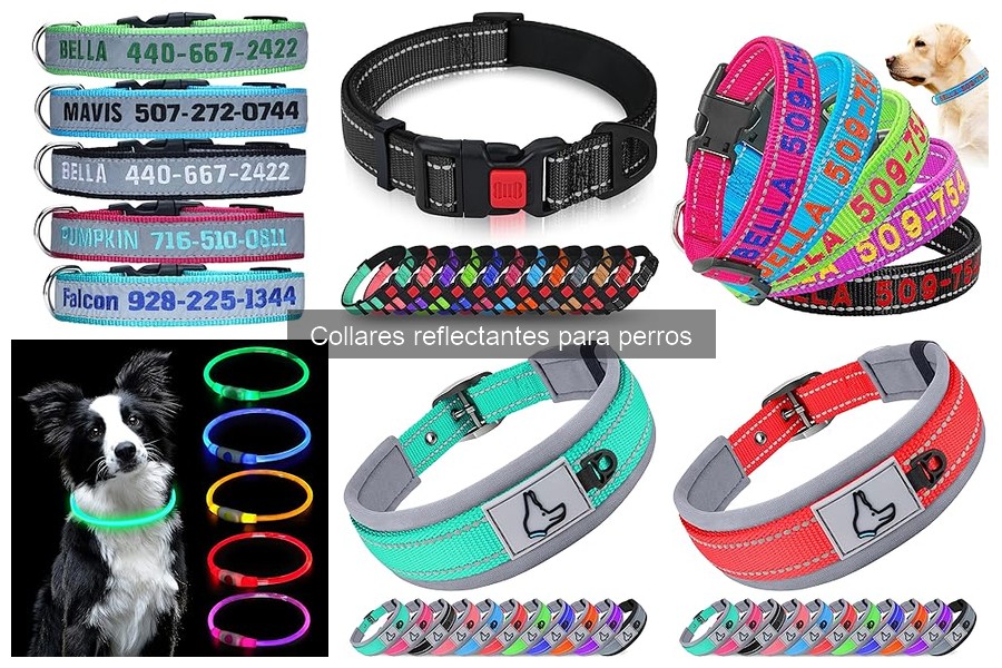Mejores collares reflectantes para perros recomendados por expertos