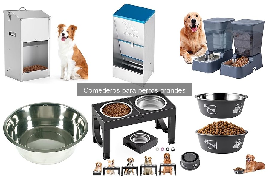 Mejores comederos automáticos para perros grandes en 2023