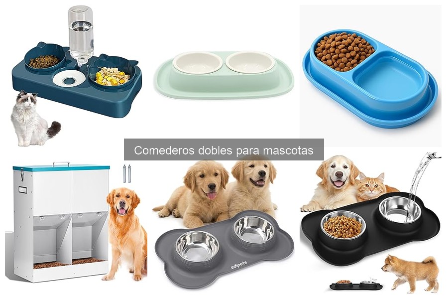 Mejores comederos dobles para gatos: comparativa y consejos