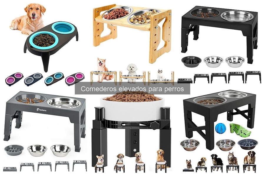 Mejores comederos elevados para perros grandes: comparativa 2023