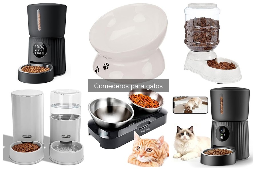 Mejores comederos para gatos en 2023: Comparativa y Reseñas