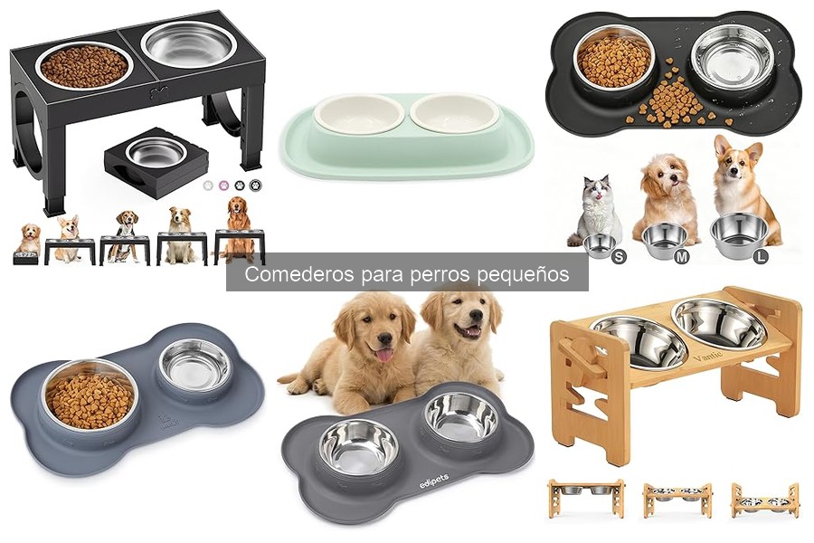 Mejores comederos para perros pequeños con problemas de salud