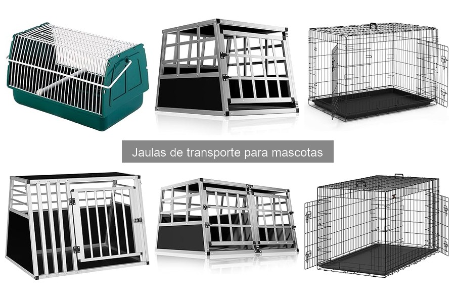 Mejores consejos para el mantenimiento de jaulas de transporte