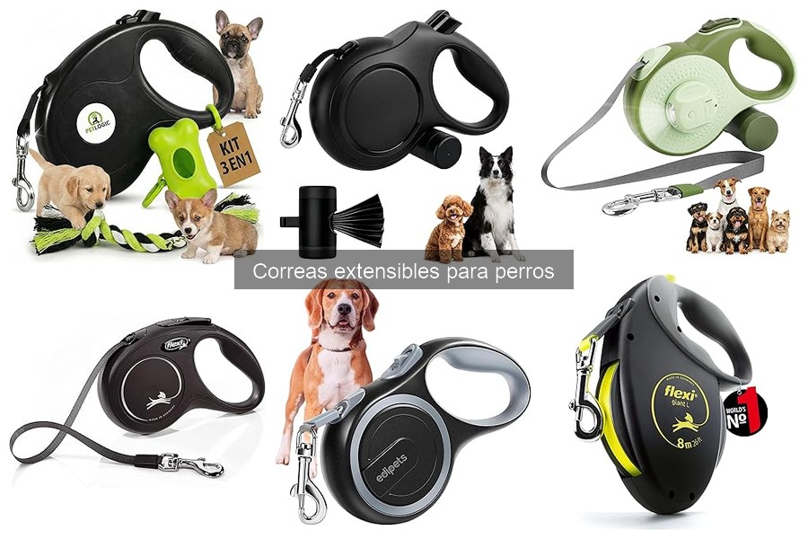 Mejores correas extensibles para paseos urbanos en 2023