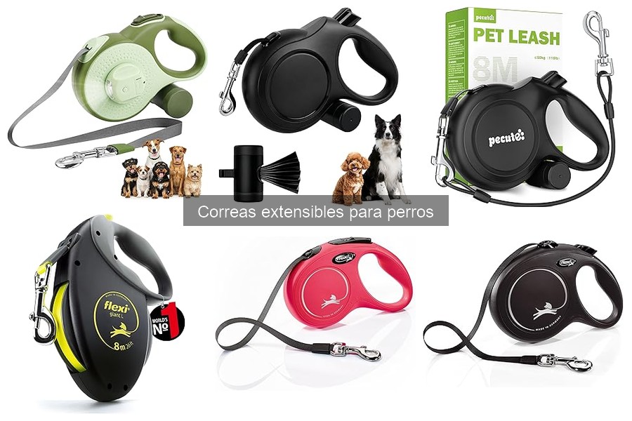 Mejores correas extensibles para perros grandes en 2023