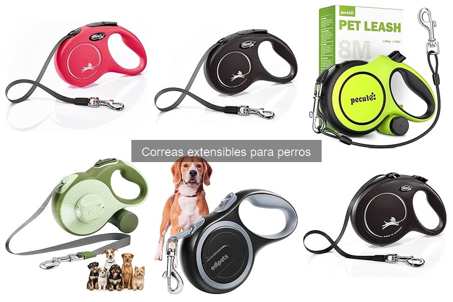 Mejores correas extensibles para perros pequeños en 2023