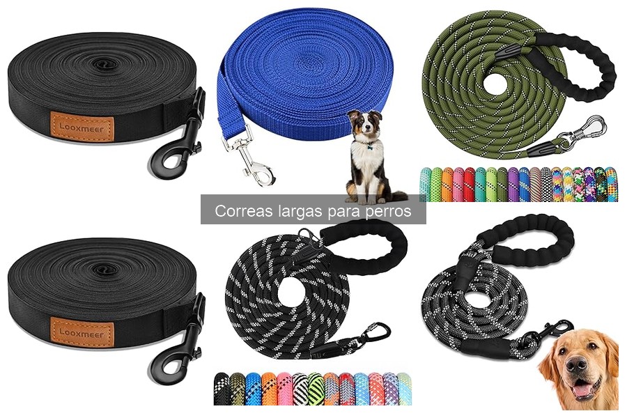 Mejores correas largas para perros según tamaño y raza