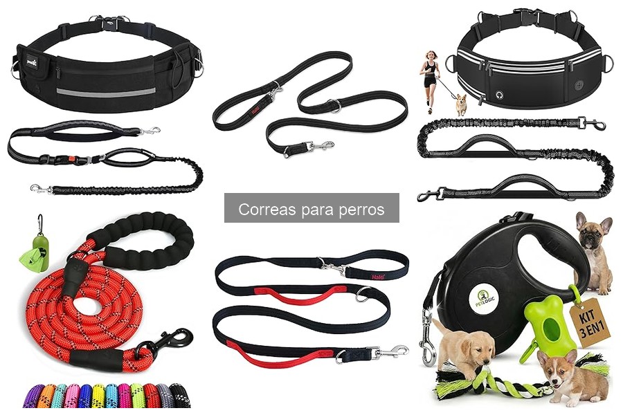 Mejores correas para perros pequeños: Guía de compra 2023