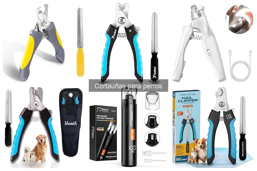 Mejores cortauñas para perros pequeños: comparativa 2023