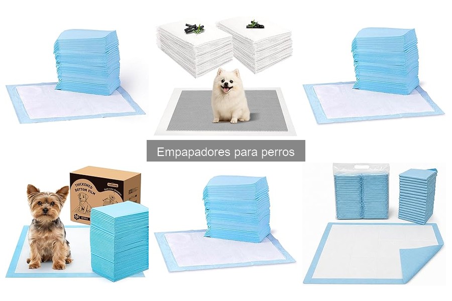 Mejores empapadores para perros que orinan en casa