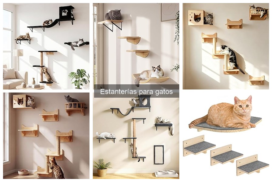 Mejores estanterías para gatos según el espacio disponible