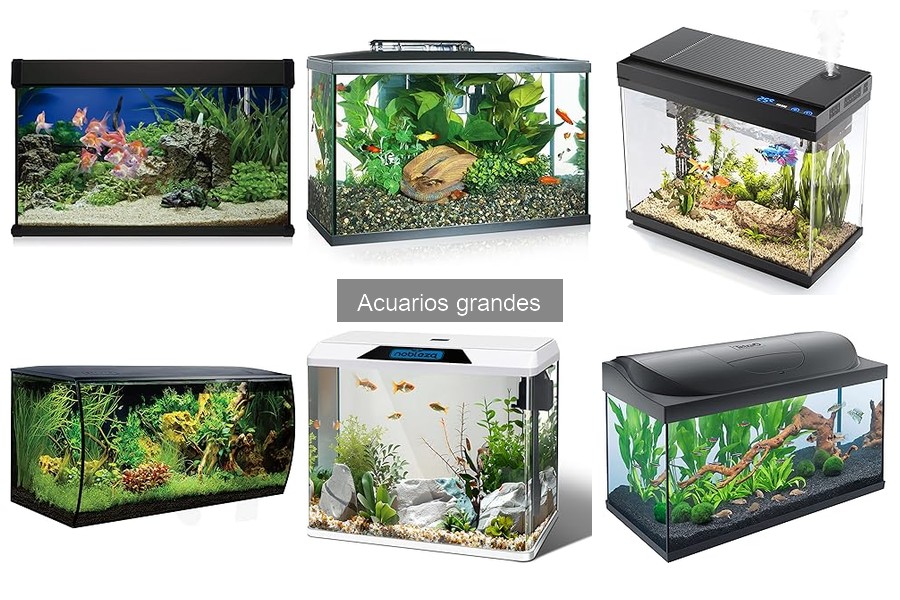 Mejores filtros para acuarios grandes: comparativa y recomendaciones