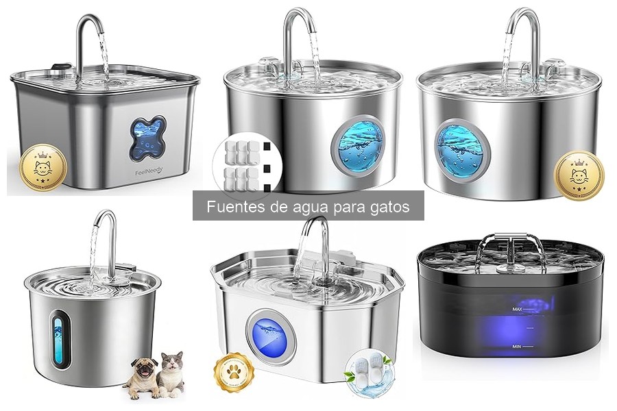Mejores fuentes de agua para gatos: comparativa y recomendaciones