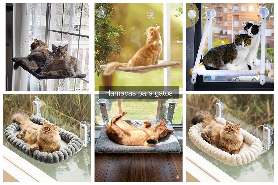 Mejores hamacas para gatos en 2023: comparativa y opiniones