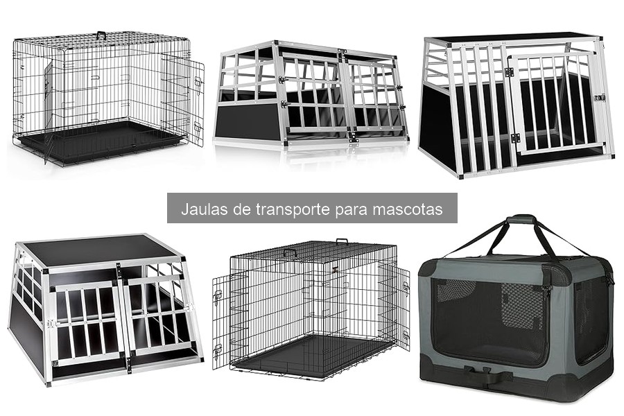 Mejores jaulas de transporte para perros pequeños en 2023