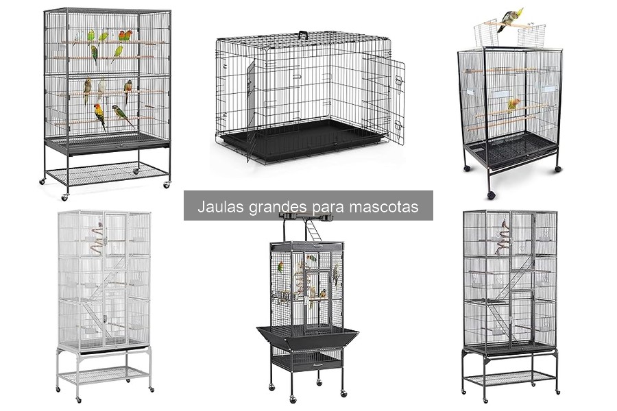 Mejores jaulas grandes para perros: comparativa y recomendaciones