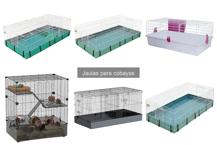 Mejores jaulas para cobayas: comparativa de marcas
