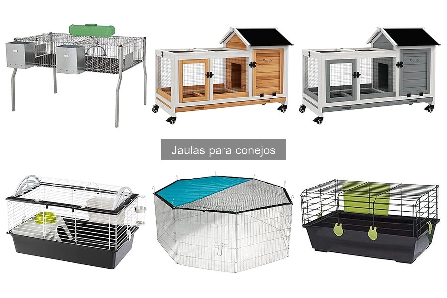 Mejores jaulas para conejos grandes: comparativa y recomendaciones