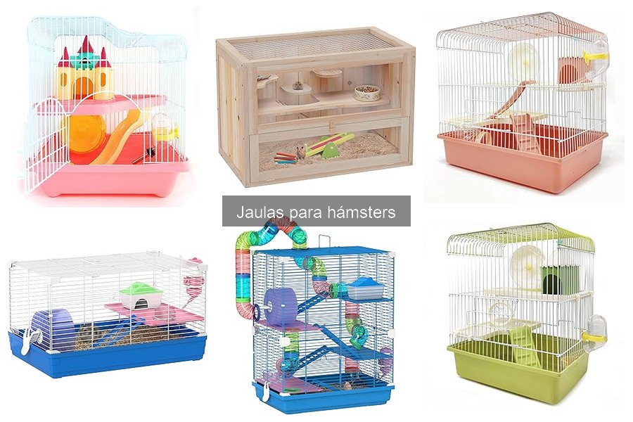 Mejores Jaulas para Hámsters: Tipos y Características