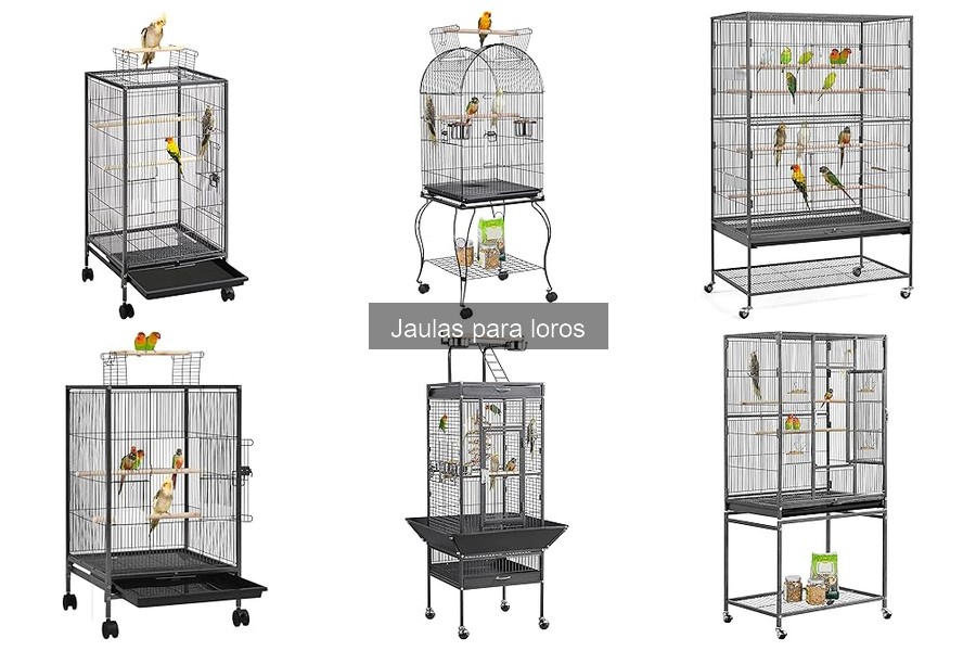 Mejores jaulas para loros grandes: Top 3 opciones en 2023