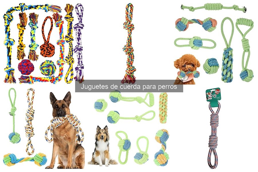 Mejores juguetes de cuerda para perros pequeños en 2023