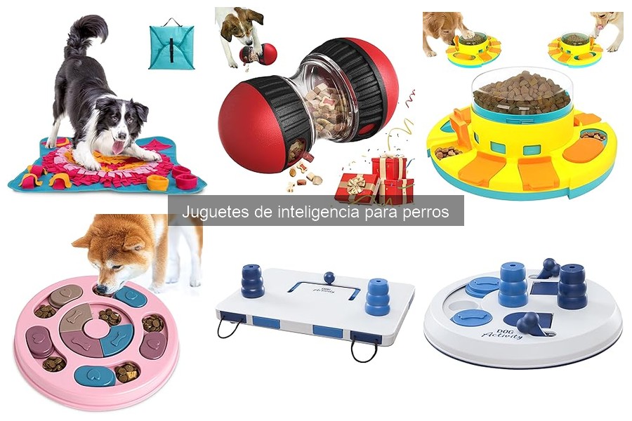 Mejores juguetes de inteligencia para perros: comparativa 2023