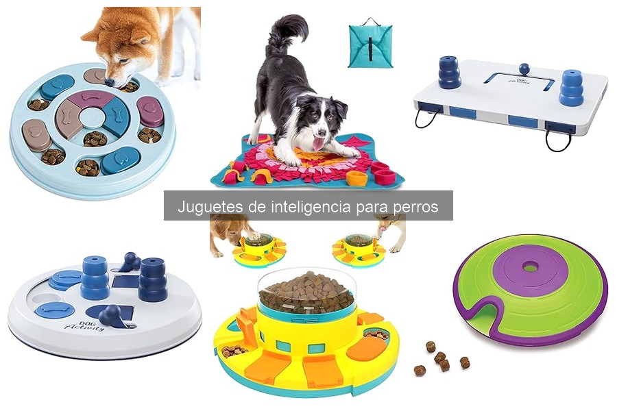 Mejores juguetes de inteligencia para perros pequeños