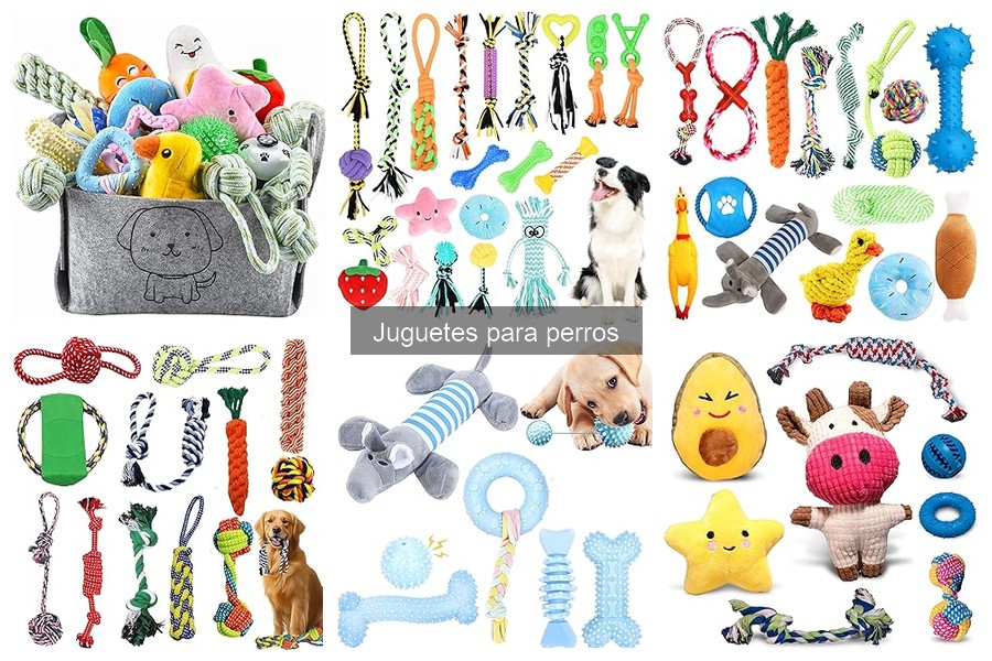 Mejores juguetes para perros que cuidan su salud dental
