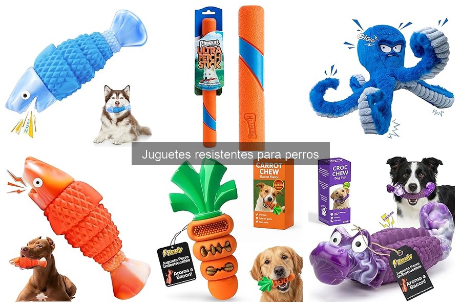 Mejores juguetes resistentes para perros grandes en 2023
