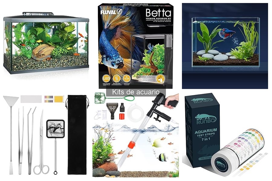 Mejores kits de acuario para principiantes en 2023