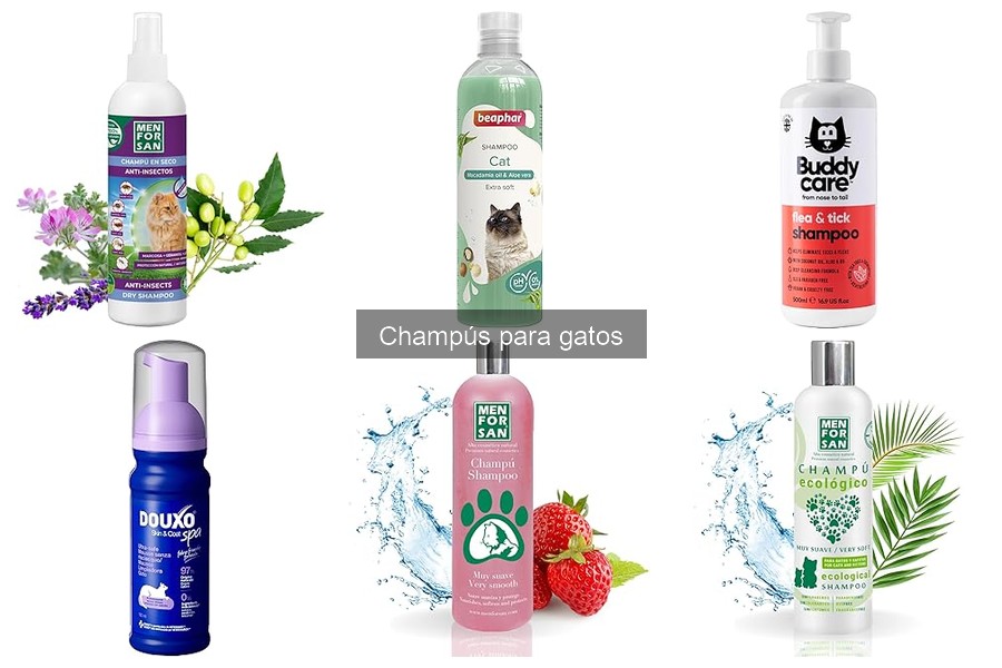 Mejores lugares para comprar champús para gatos baratos